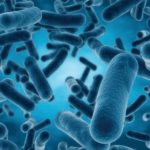 You Can Ensure Health Safety With Legionella Assessment