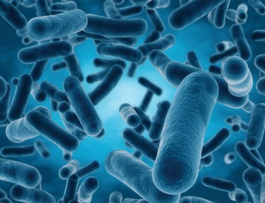 You Can Ensure Health Safety With Legionella Assessment
