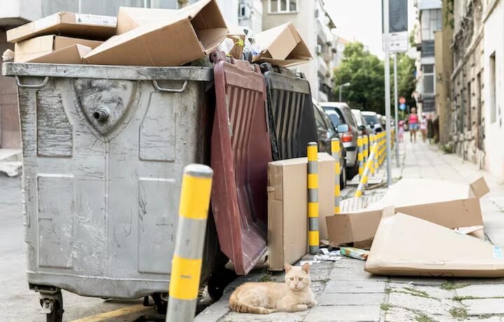 Skip Hire Richmond: Your Ultimate Guide to Sizes, Prices & Booking