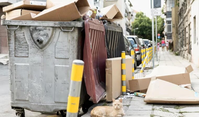 Skip Hire Richmond: Your Ultimate Guide to Sizes, Prices & Booking