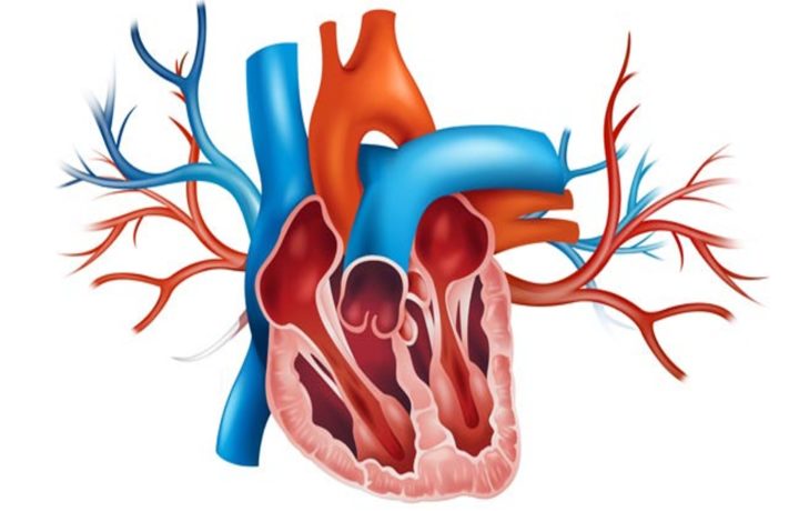 How Nicotine Affects You And Your Heart