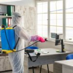 Five Questions You Must Ask When Hiring Pest Control Services