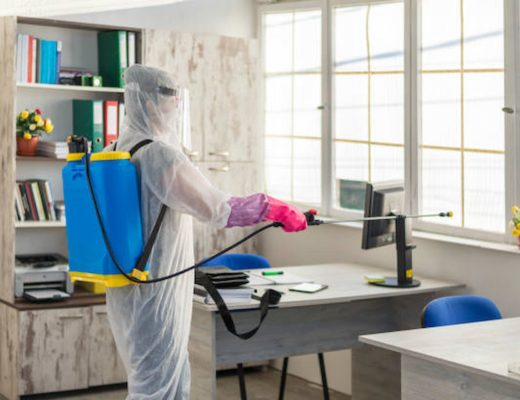 Five Questions You Must Ask When Hiring Pest Control Services