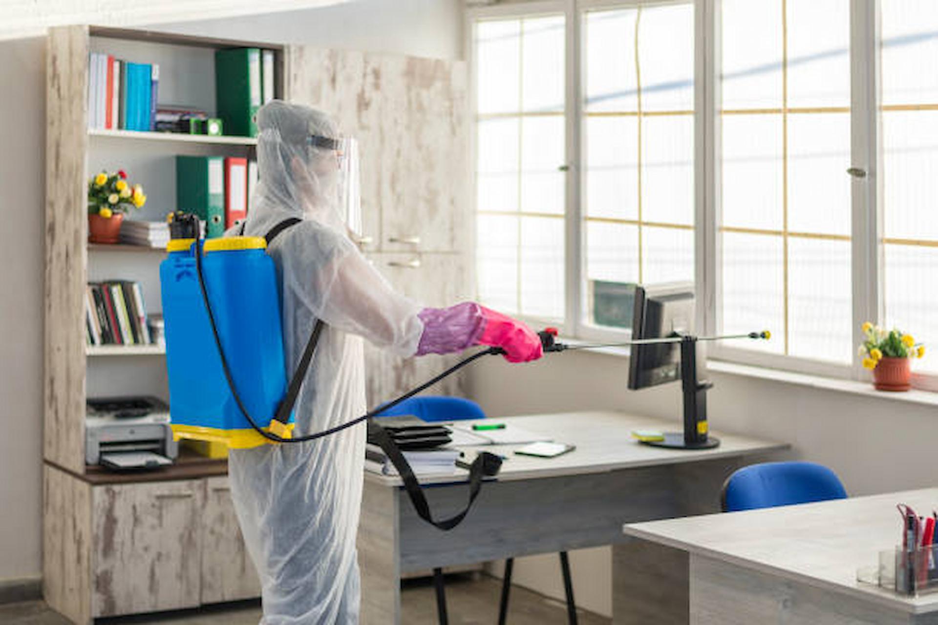 Five Questions You Must Ask When Hiring Pest Control Services